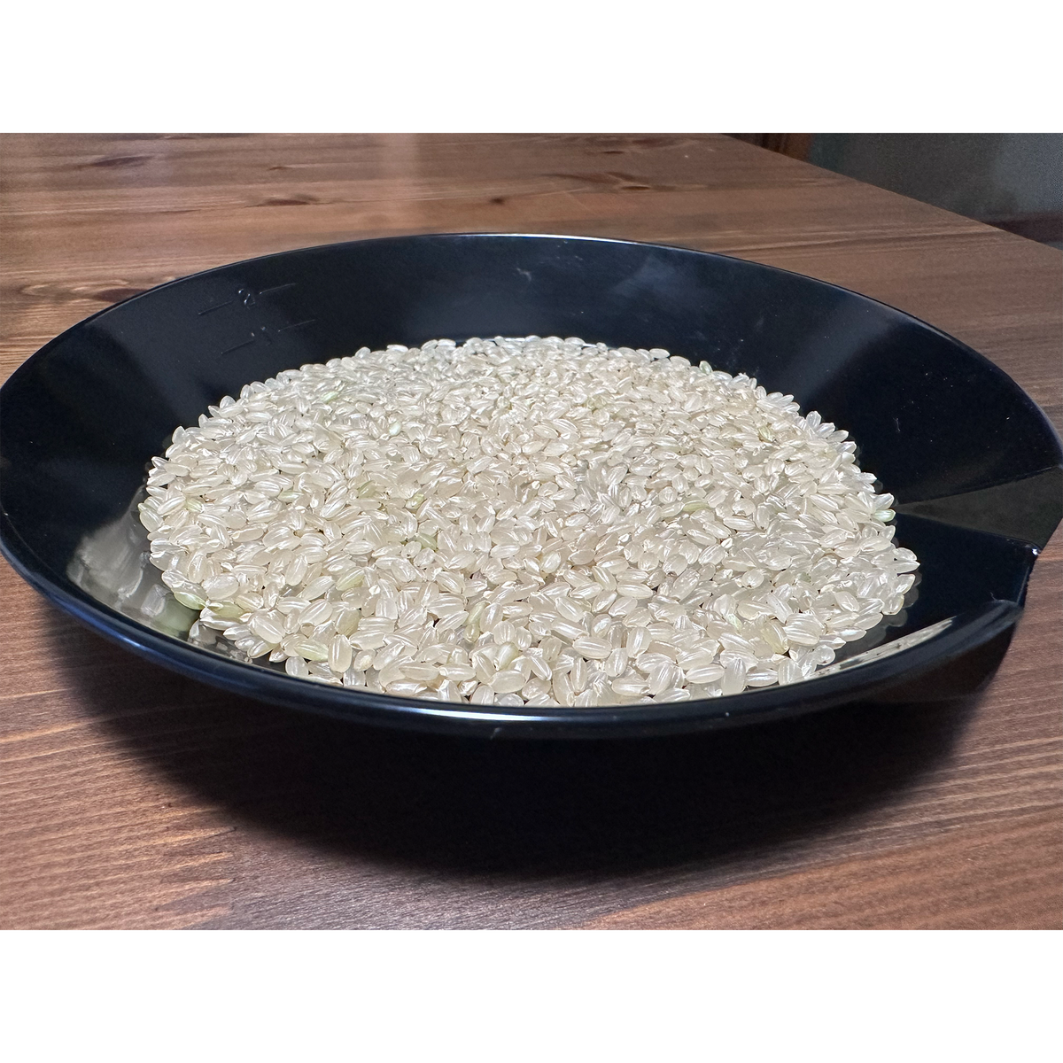 【新米】令和8年度産オーガニックコシヒカリ(玄米) 15kg