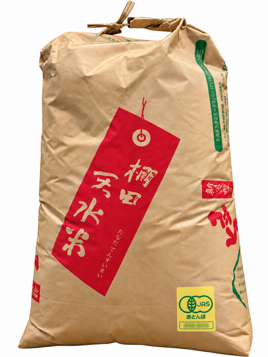 【新米】令和８年度産  自然栽培コシヒカリ （玄米）25kg